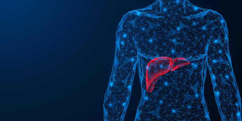 LIPIDOMICS AND HEPATOCYTE FUNCTIONING