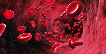 globuli-rossi-analisi-lipidomica