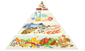 piramide-alimentare-linea-nutrizionale