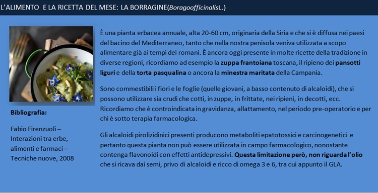 ricetta-borragine