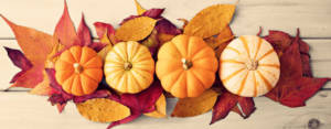 zucca-autunno